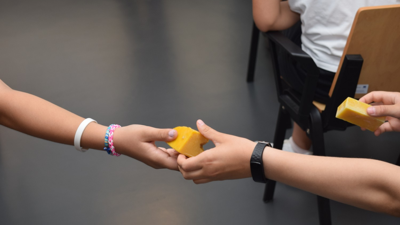 Hotel za kukce otvorio vrata u Eko kampusu ‘Krka’: Mladi čuvari prirode u misiji zaštite