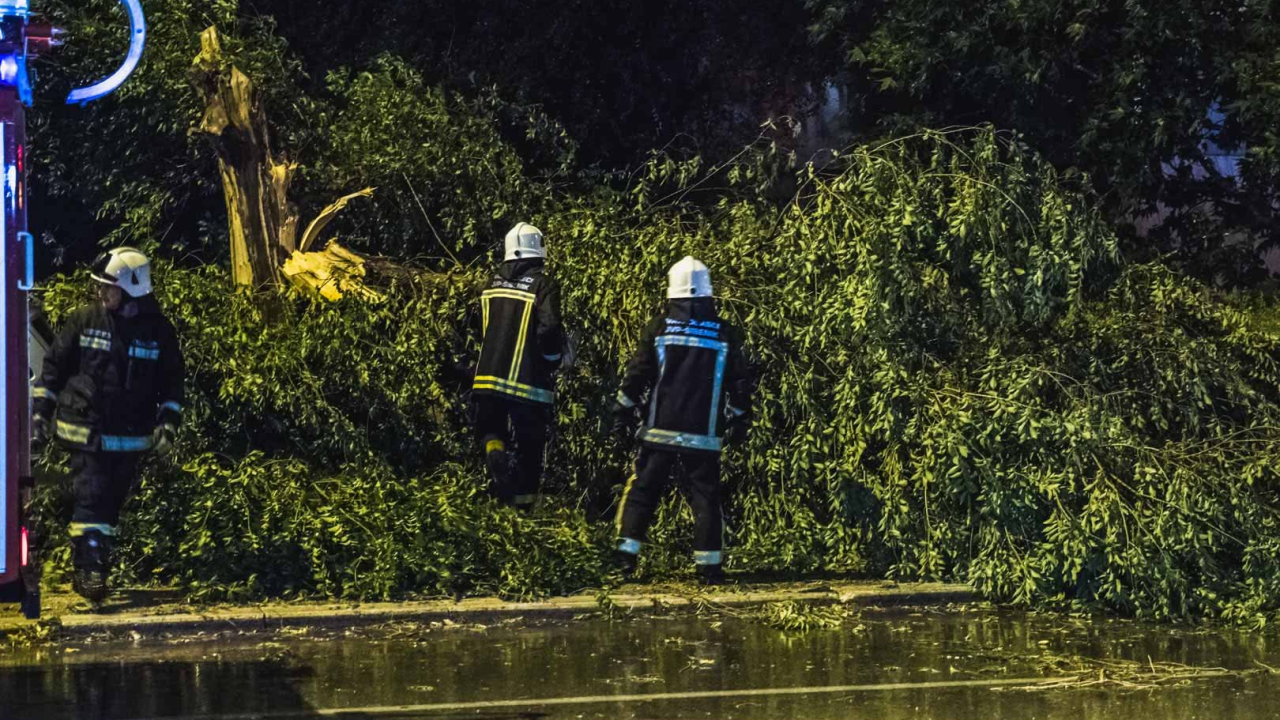 Intervencija sinoć na Baldekinu: Vatrogasci uklonili stablo s ceste