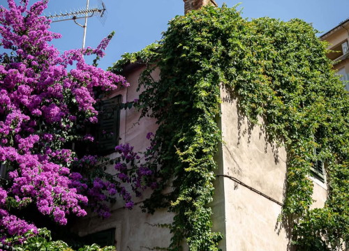 Fotografija 54 - Baldekin 1 – Srce urbanog Šibenika