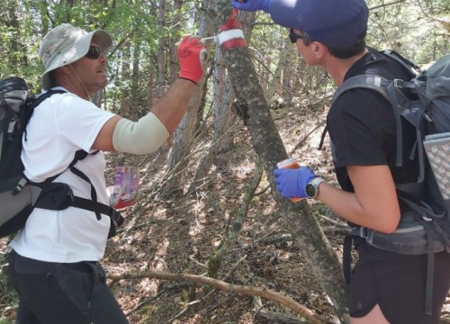 Fotografija 2 - 'Mihovilci' obnovili markacije na Kijevskom Kozjaku
