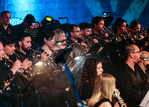 Fotografija 3 - ŠNG svira Arsena