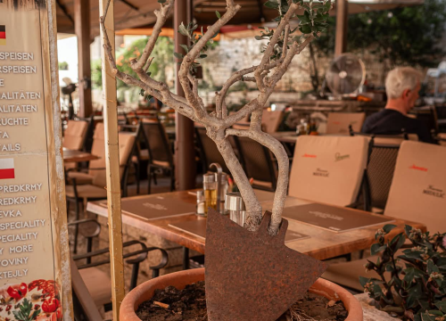 Fotografija 8 - Kalelarga - Srce Šibenika koje pamti priče generacija