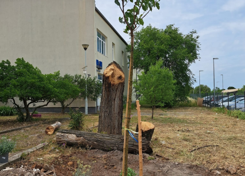 Fotografija 7 - Učenici Katoličke škole u Šibeniku 'Zavrtjeli krug promjena'