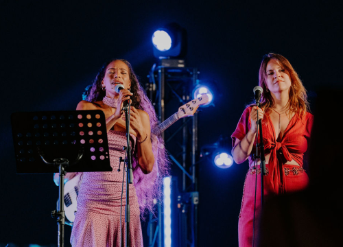 Fotografija 11 - Barone Jazz Festival: Phillip Lassiter rasplesao šibensku publiku