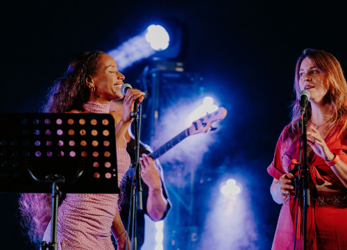 Fotografija 14 - Barone Jazz Festival: Phillip Lassiter rasplesao šibensku publiku