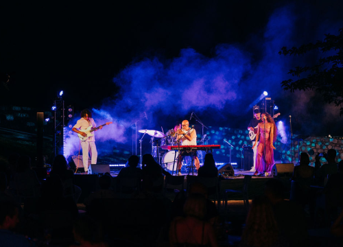 Fotografija 23 - Barone Jazz Festival: Phillip Lassiter rasplesao šibensku publiku