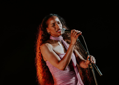 Fotografija 50 - Barone Jazz Festival: Phillip Lassiter rasplesao šibensku publiku