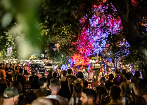 Šibenik Dance Festival i zagrijavanje za Zlarin Street Music ovog tjedna na Green stageu