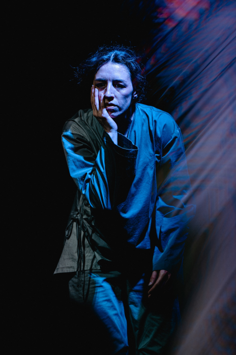 Šibenik Dance Festival