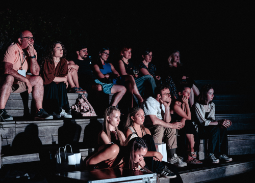 Fotografija 11 - Šibenik Dance Festival