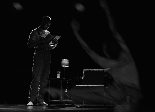 Fotografija 5 - Šibenik Dance Festival