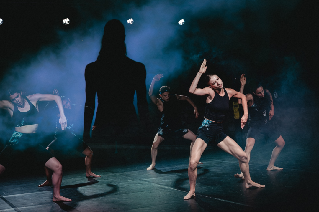 Govor tijela jači od riječi: Večer snažnih poruka na Šibenik Dance Festivalu