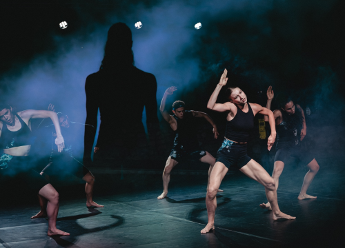 Fotografija 23 - Govor tijela jači od riječi: Večer snažnih poruka na Šibenik Dance Festivalu