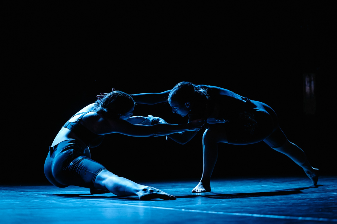 Govor tijela jači od riječi: Večer snažnih poruka na Šibenik Dance Festivalu