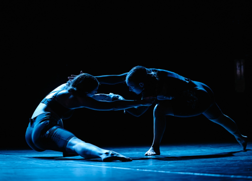 Fotografija 18 - Govor tijela jači od riječi: Večer snažnih poruka na Šibenik Dance Festivalu