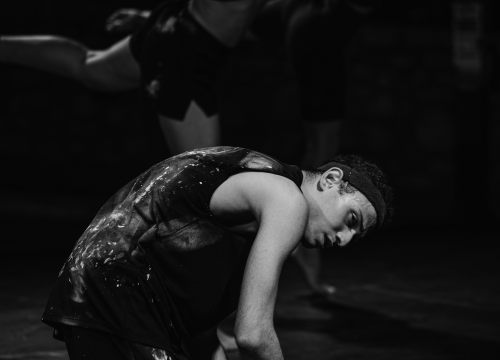 Fotografija 13 - Govor tijela jači od riječi: Večer snažnih poruka na Šibenik Dance Festivalu