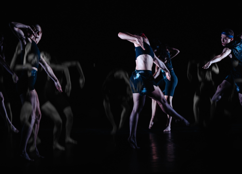 Fotografija 15 - Govor tijela jači od riječi: Večer snažnih poruka na Šibenik Dance Festivalu