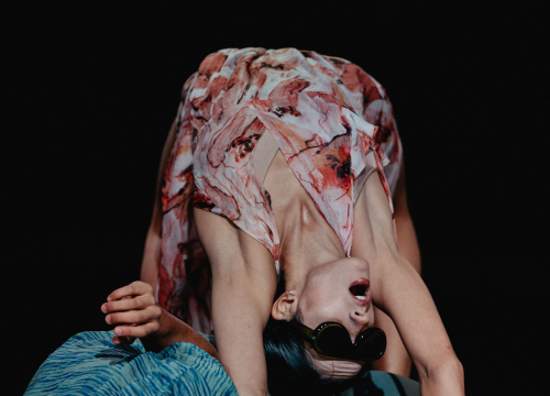 Fotografija 12 - Govor tijela jači od riječi: Večer snažnih poruka na Šibenik Dance Festivalu