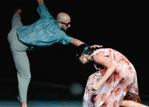 Fotografija 6 - Govor tijela jači od riječi: Večer snažnih poruka na Šibenik Dance Festivalu