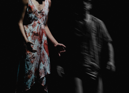 Fotografija 4 - Govor tijela jači od riječi: Večer snažnih poruka na Šibenik Dance Festivalu