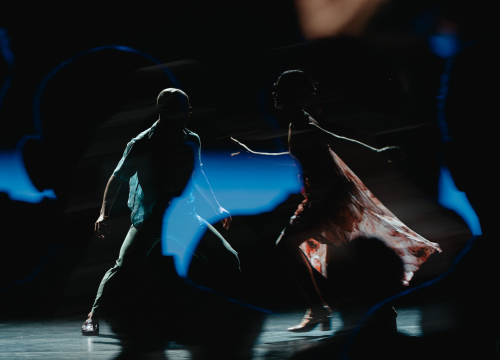 Fotografija 7 - Govor tijela jači od riječi: Večer snažnih poruka na Šibenik Dance Festivalu