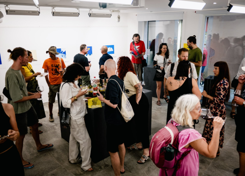 Fotografija 2 - Počeo program Supertoon Festivala u Šibeniku: Održano svečano otvorenje na Maloj loži