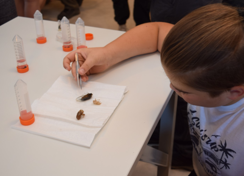 Fotografija 9 - Mladi čuvari prirode: Junior Ranger grupa okupila se u Eko kampusu 'Krka' Puljani