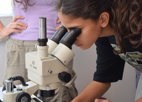 Fotografija 5 - Mladi čuvari prirode: Junior Ranger grupa okupila se u Eko kampusu 'Krka' Puljani