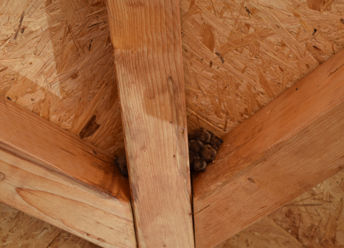 Fotografija 4 - Mladi čuvari prirode: Junior Ranger grupa okupila se u Eko kampusu 'Krka' Puljani