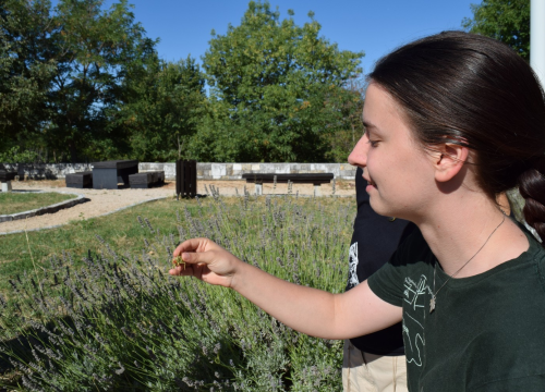 Fotografija 16 - Mladi čuvari prirode: Junior Ranger grupa okupila se u Eko kampusu 'Krka' Puljani