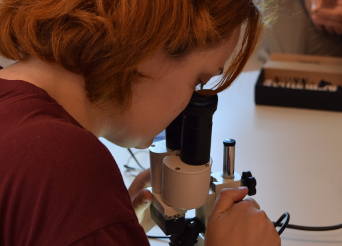 Fotografija 13 - Mladi čuvari prirode: Junior Ranger grupa okupila se u Eko kampusu 'Krka' Puljani