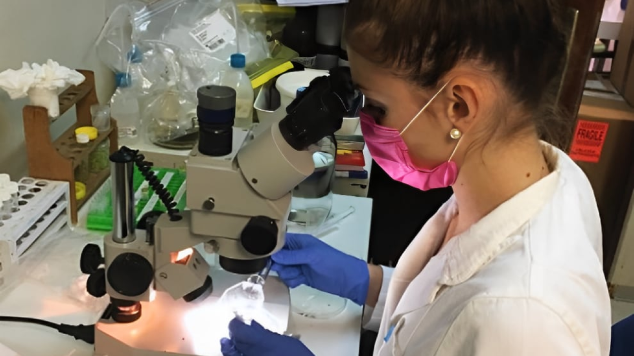 Hrvatske znanstvenice dešifrirale genetsku tajnu parazita iz Krke koji 'usisava' teške metale