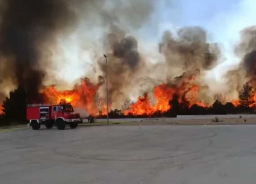 Fotografija 9 - Požar na Bikarcu