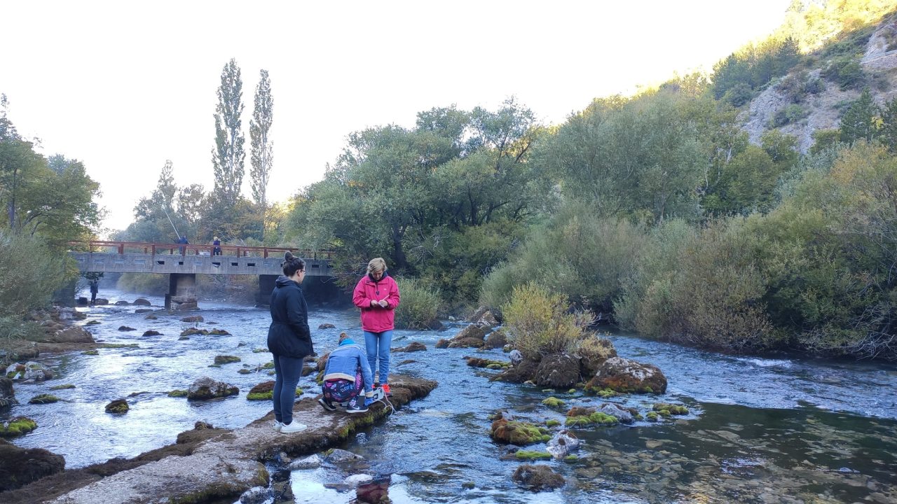 Hrvatske znanstvenice dešifrirale genetsku tajnu parazita iz Krke koji 'usisava' teške metale