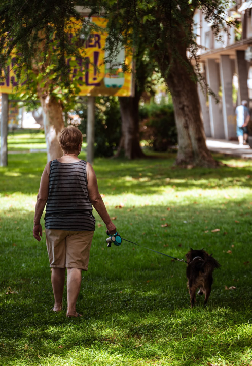 Baldekin 2 i 3: Simbol šibenskog duha, spoj sporta, obrazovanja i sjećanja