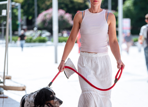 Fotografija 17 - FOTO Đir po gradu, srijeda 30. srpnja