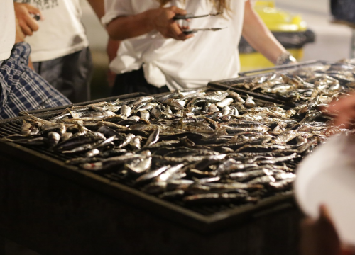Fotografija 17 - FOTO Jezera spremna za spektakl: Ne propustite Ribarsku feštu uz Crvenu jabuku i dalmatinske okuse!