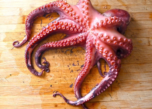 Fotografija 5 - 'Botnica' s okusom prošlosti: Krapanjska priča o hobotnici i ljudima