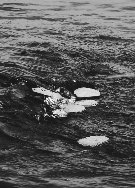 U četvrtak otvorenje izložbe 'Val od soli' Nataše Ninić