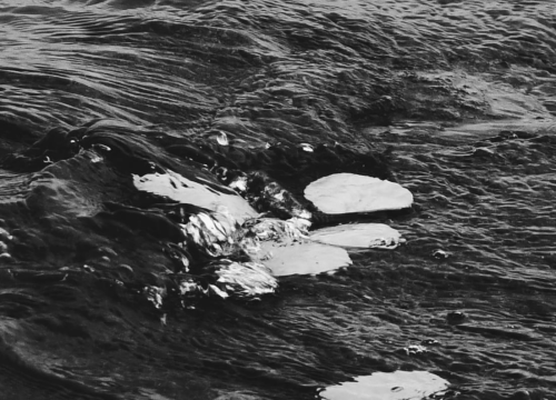 Fotografija 1 - U četvrtak otvorenje izložbe 'Val od soli' Nataše Ninić