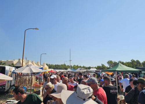 Fotografija 1 - Ni vrućine nisu spriječile masu ljudi da obilježe 'sveti deseti'