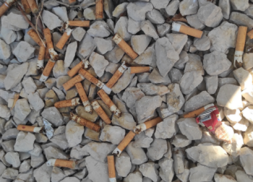 Fotografija 3 - FOTO Fekalije po zidu, zaštopani zahodi, tamponi u okvirima, razbacano smeće – s tim se na Rezalištu svakodnevno bore djelatnici Zelenog grada