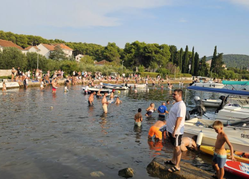 Fotografija 5 - Lov na ciple na teću