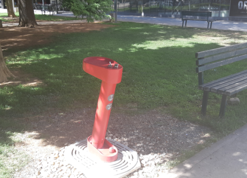 Nije prijelomna vijest, ali čovjeka (i životinju) veseli – vratila se špina na Baldekinu