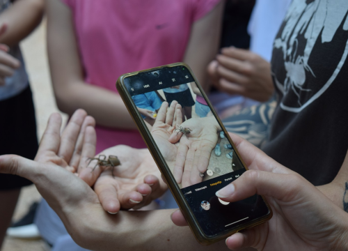 Fotografija 11 - Mladi čuvari prirode okupili se u NP Krka na edukativnoj radionici