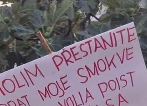 Parolom protiv taraša: 'I ja bi volia poist koju smokvu'
