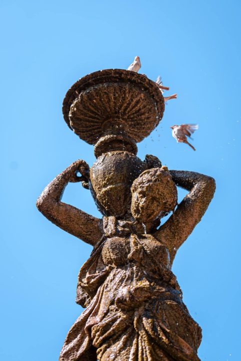 Šibenski Stari grad – kameni labirint povijesti i života