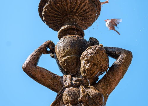 Fotografija 25 - Šibenski Stari grad – kameni labirint povijesti i života