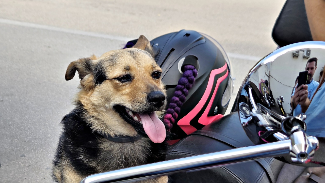 Članovi moto kluba posjetili Udrugu Kamenčići: 'Njihova podrška nam puno znači'