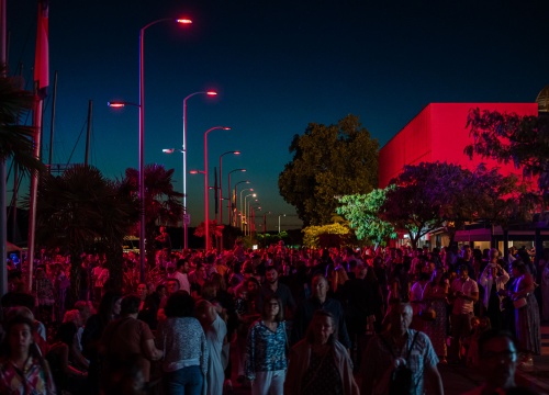 Fotografija 12 - Šibenik impresivnim dron showom obilježio jubilarno izdanje manifestacije Light is life